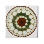 Briglin.com.O07.01