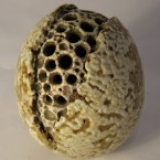 Briglin.com.O27_01